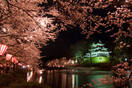 高田城と夜桜