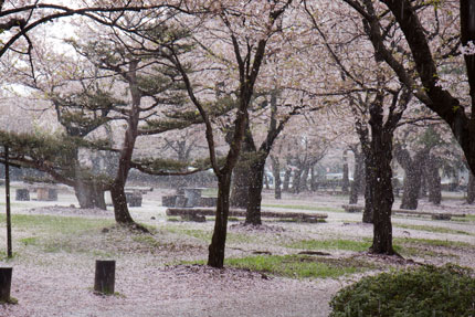 激しい雨