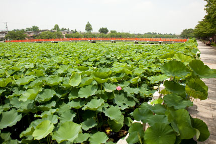 高田公園