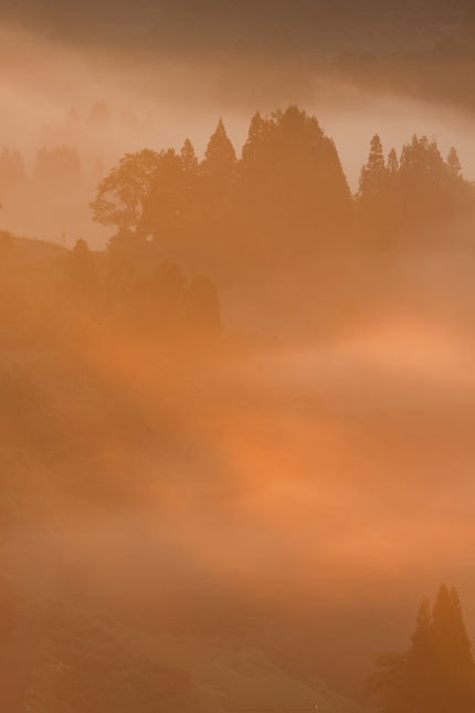 朝霧に輝く光芒