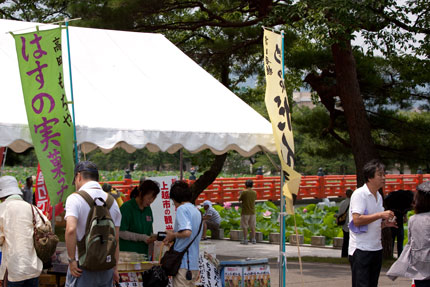 芝生広場のテント