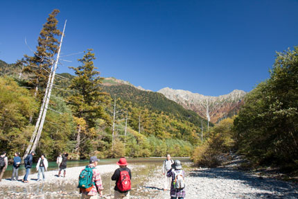 自然を堪能できる景色