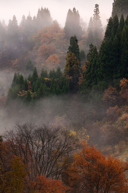 新潟の山の秋