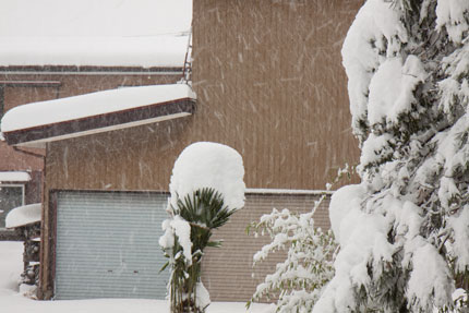 大雪