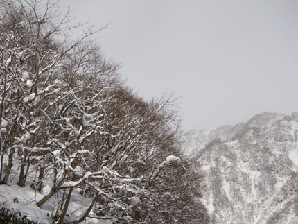 西に向いて山を見る