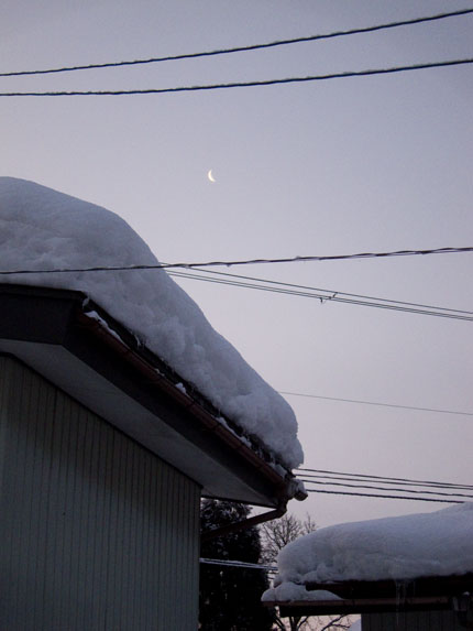 雪の降っていない朝