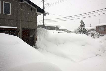 1月30日の上越市大貫の雪