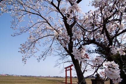 鳥居