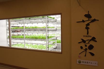 野菜工場