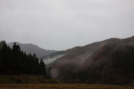 紅葉もくすんで見えます