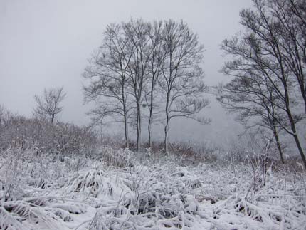 雪景色