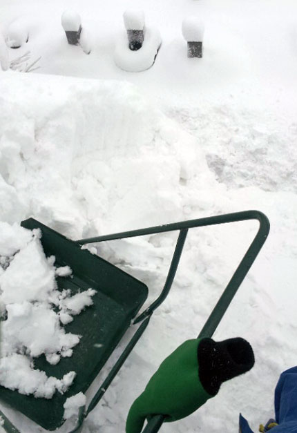 雪を落とす所の脇は、お墓