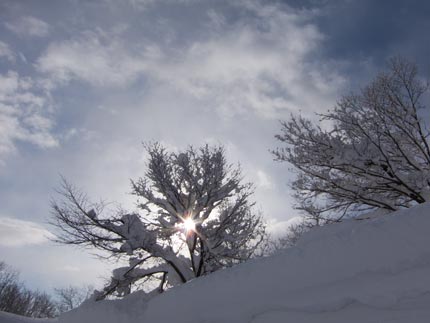 太陽は、きらきら光って