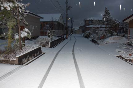 桜が咲いてもおかしくない季節の雪