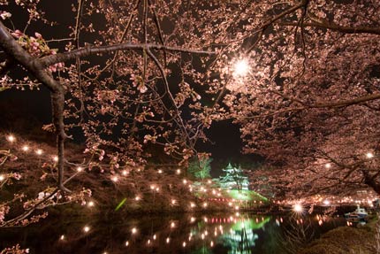 桜の中に高田城