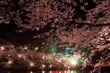 高田城を望む風景