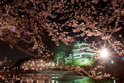 噴水と高田城と桜