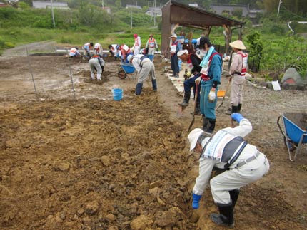 畑の瓦礫撤去作業