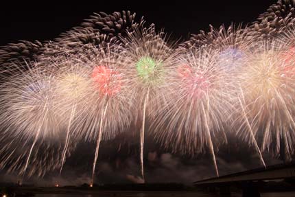 長岡の花火14フェニックス