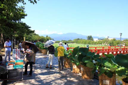 上越はすまつりの高田公園