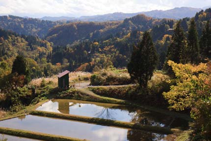 蒲生地区の棚田