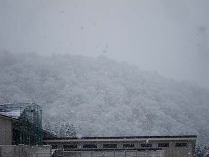 雪が積もっていました