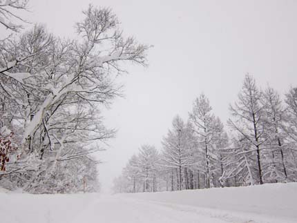 十分な積雪