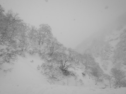 雪景色