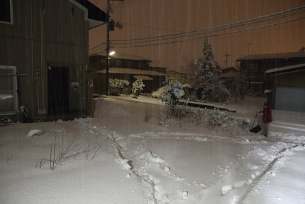 雪が降りました