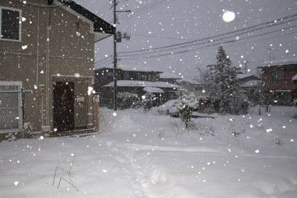 雪だらけの我が家