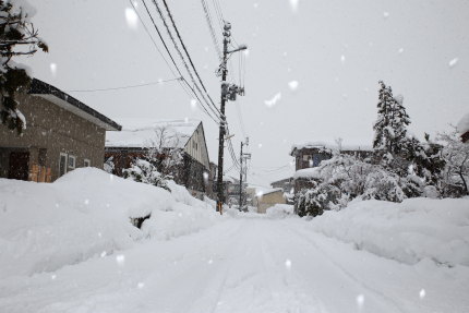 チラチラと積もる雪