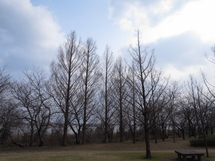 鳥屋野公園内