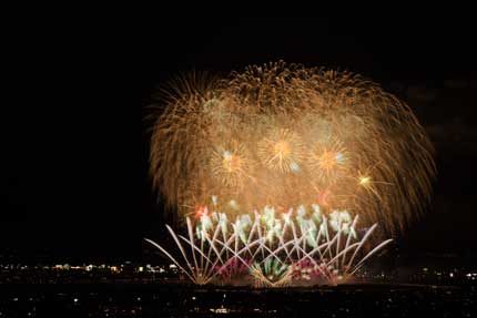 綺麗な花火