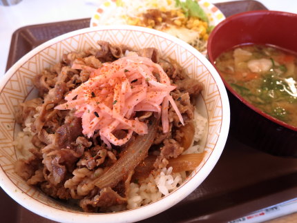 牛丼並の豚汁サラダセット529円