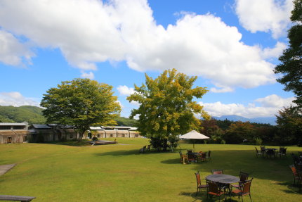 綺麗な庭園