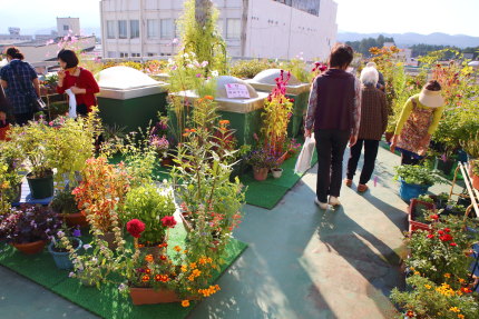 屋上いっぱいの花々