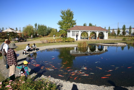 お庭のような公園