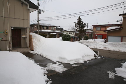 1月25日(日)の上越大貫の積雪状況