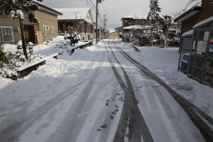 3月11日(水)、12日（木）