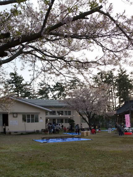 上越市大潟区犀潟で花見会