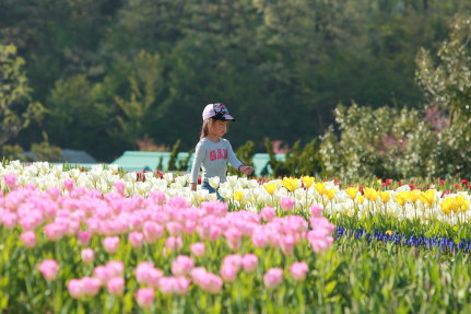 子供も楽しんでいた