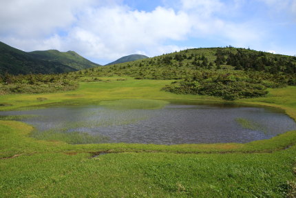 湿原