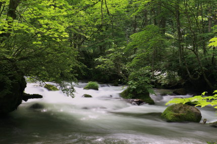 石ヶ戸の瀬付近3