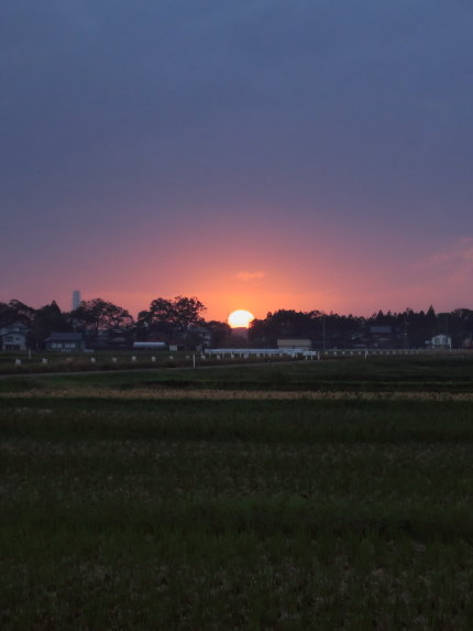 綺麗な夕日