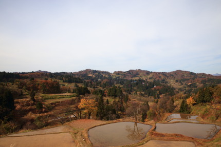 十日町市松代儀明の棚田