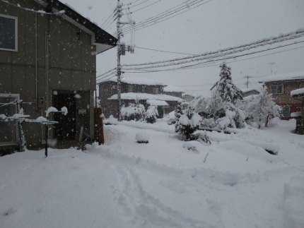 12月6日(土)の我が家の前の様子