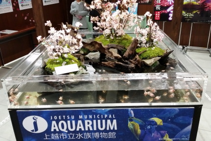 AQUARIUM