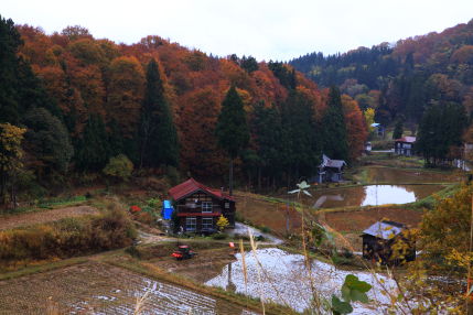 十日町儀明の棚田から東へ200mほどの景色