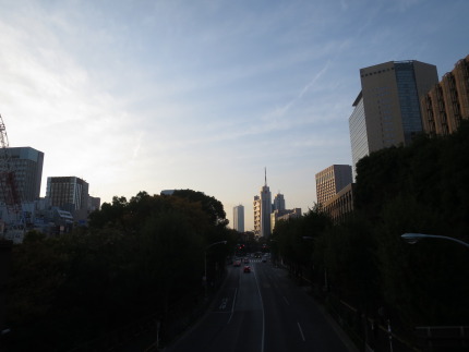 夕日に輝く東京の景色