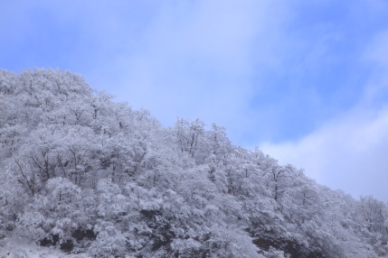 青空と雪景色